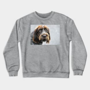 Portrait ~ Spinone Italiano dog Crewneck Sweatshirt